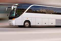 Transportes Colectivos Urbanos e Interurbanos de Passageiro